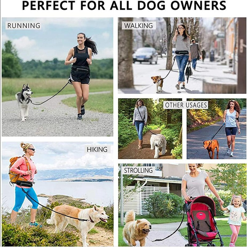 Hands-Free Dog Leash with Waist Belt – Shock-Absorbing Bungee for Large Dogs