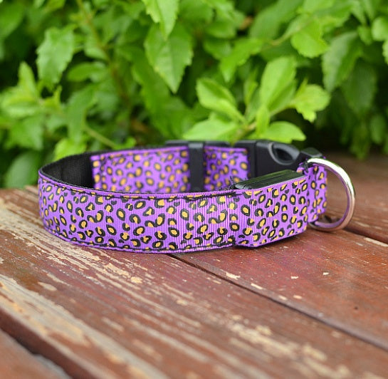 LED Light-Up Dog Collar – Night Safety Glow Adjustable Pet Collar