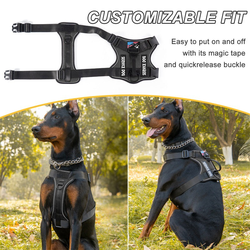 3-in-1 Retractable Dog Leash Set – Traction Rope, Foldable Bowl & Poop Bag Dispenser