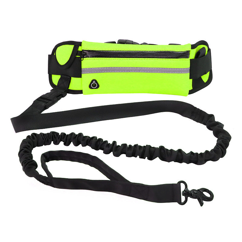 Hands-Free Dog Leash with Waist Belt – Shock-Absorbing Bungee for Large Dogs