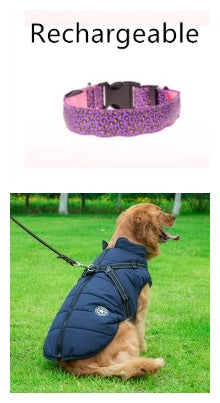 LED Light-Up Dog Collar – Night Safety Glow Adjustable Pet Collar
