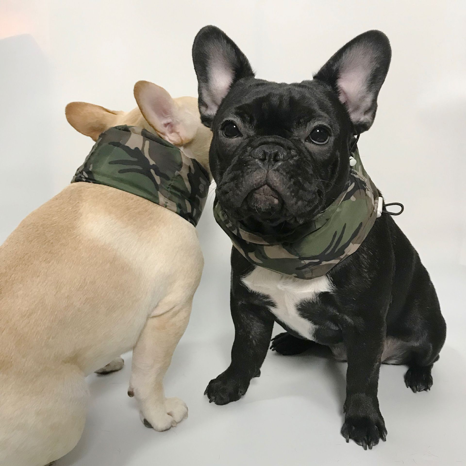 Pet Cooling Ice Packs – Summer Heat Relief Wrap for Dogs & Cats