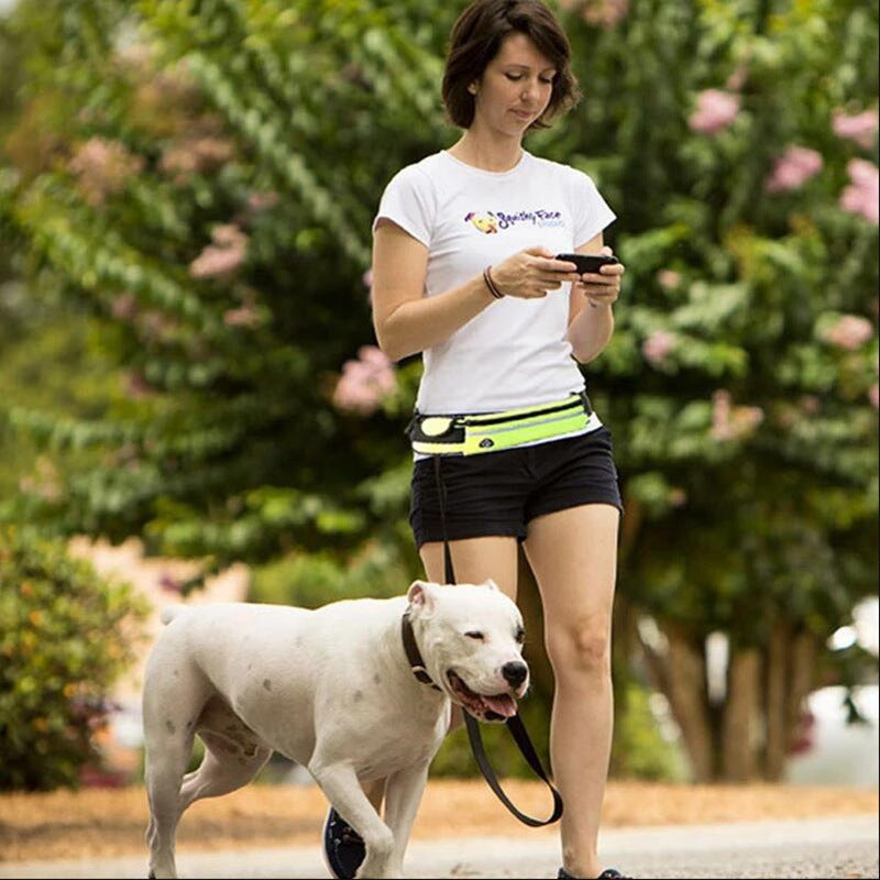 Hands-Free Dog Leash with Waist Belt – Shock-Absorbing Bungee for Large Dogs