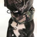 Pet Cooling Ice Packs – Summer Heat Relief Wrap for Dogs & Cats