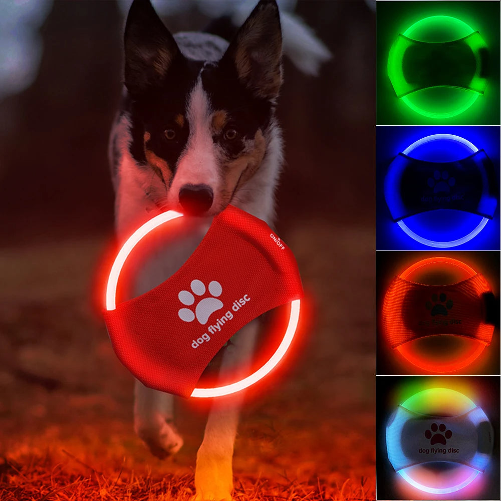 LED Glow Flying Disc for Dogs – Interactive Night Play & Training Toy