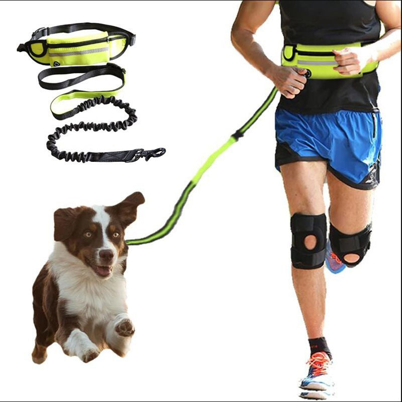 Hands-Free Dog Leash with Waist Belt – Shock-Absorbing Bungee for Large Dogs
