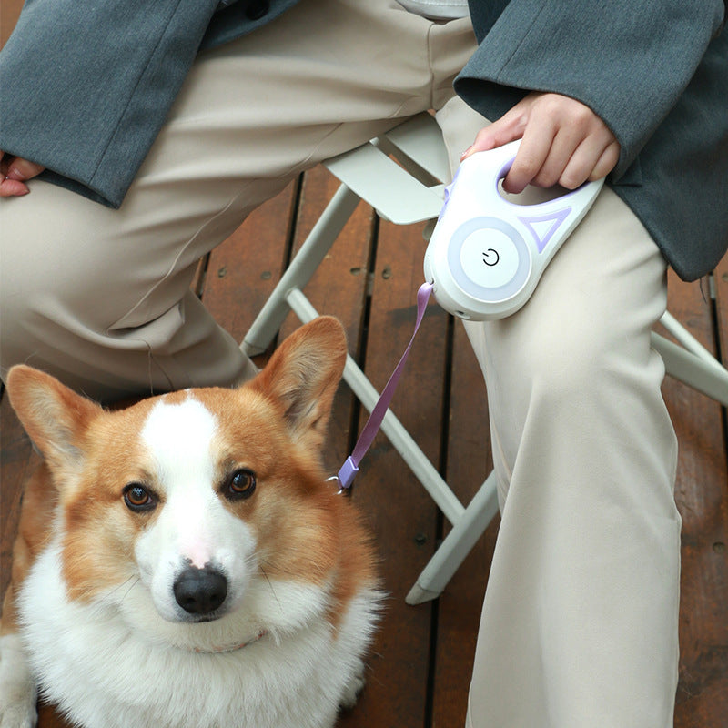Retractable Dog Leash with LED Light – Safe Night Walking Leash for Small & Medium Dogs
