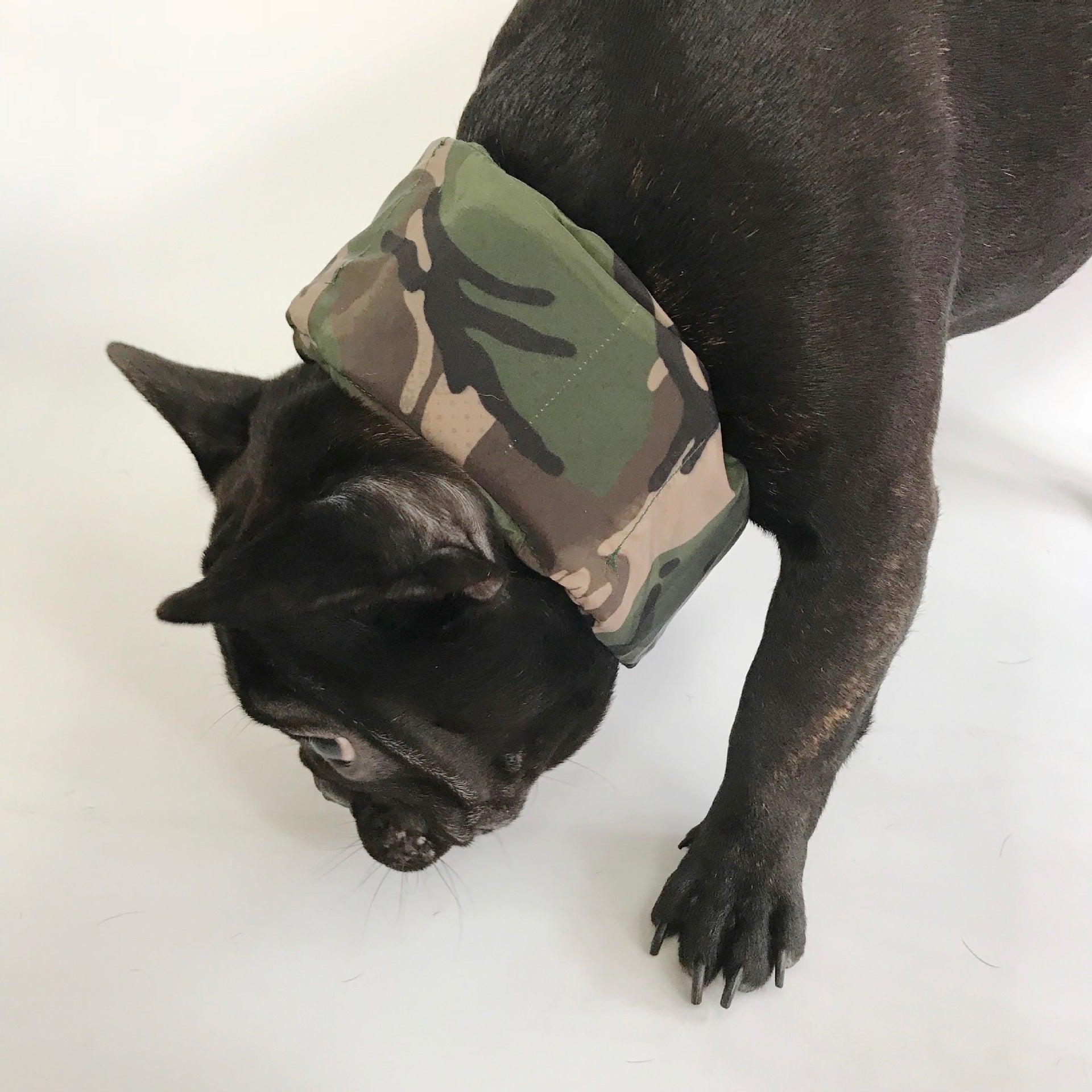 Pet Cooling Ice Packs – Summer Heat Relief Wrap for Dogs & Cats