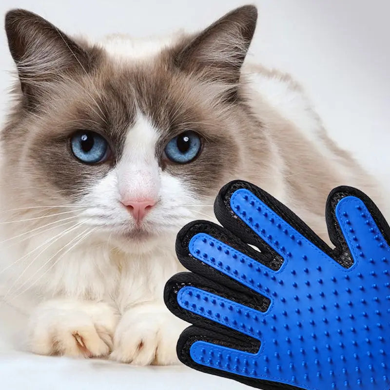 2-in-1 Pet Grooming Glove – Gentle Deshedding & Bath Brush for Dogs & Cats | Removes Loose Hair & Dirt Easily