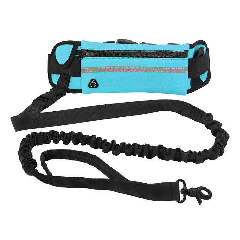 Hands-Free Dog Leash with Waist Belt – Shock-Absorbing Bungee for Large Dogs