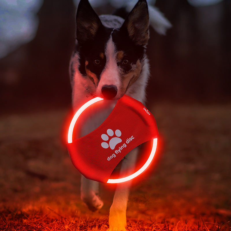 LED Glow Flying Disc for Dogs – Interactive Night Play & Training Toy