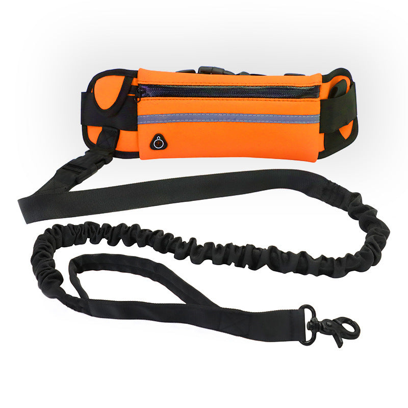 Hands-Free Dog Leash with Waist Belt – Shock-Absorbing Bungee for Large Dogs