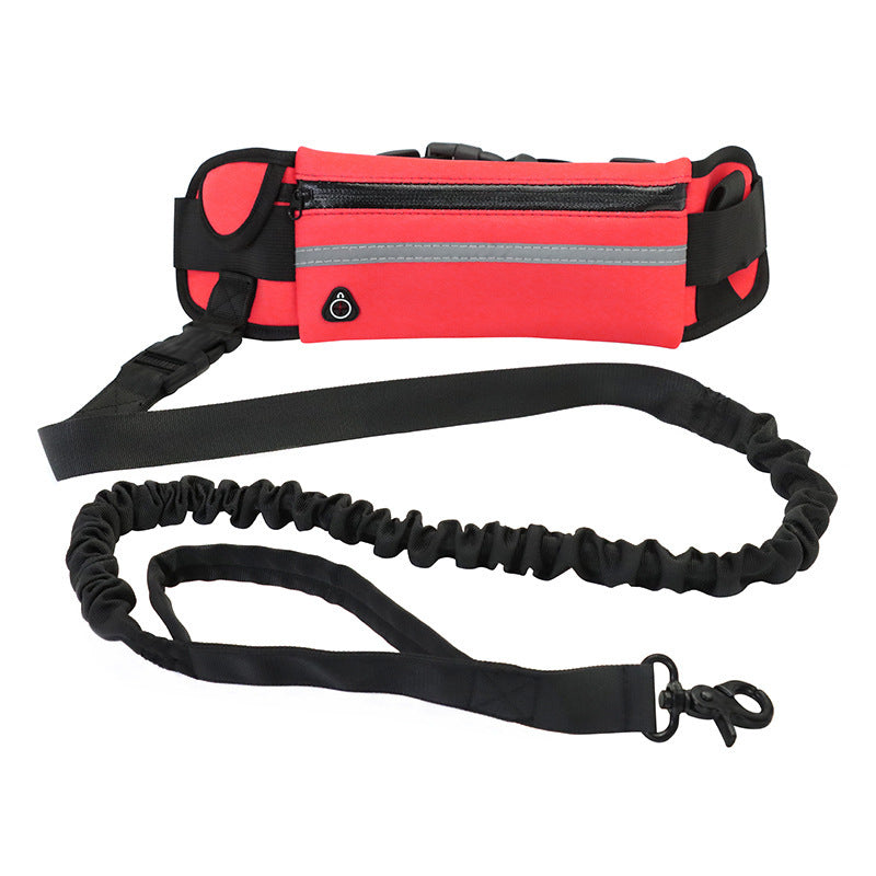 Hands-Free Dog Leash with Waist Belt – Shock-Absorbing Bungee for Large Dogs